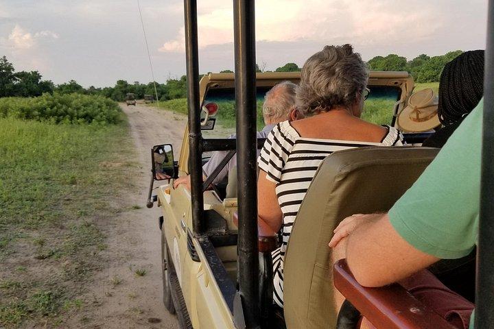 Chobe dagtrip vanuit Victoria Falls Zimbabwe
