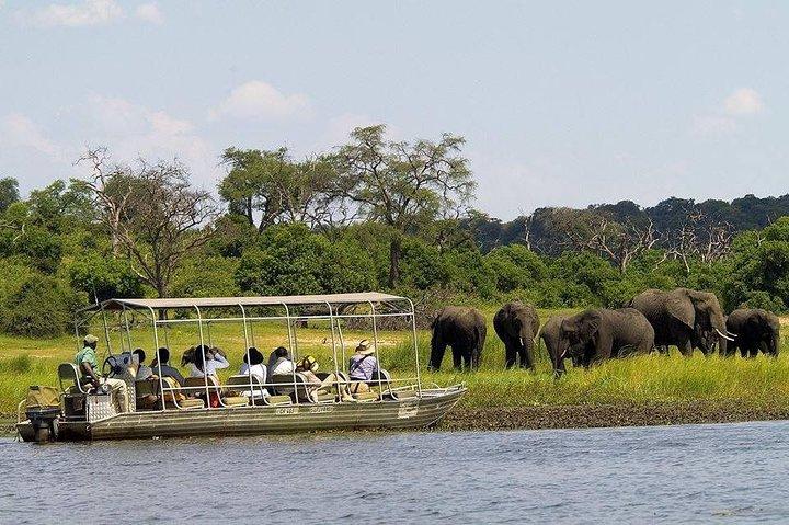 Chobe Full Day Trip