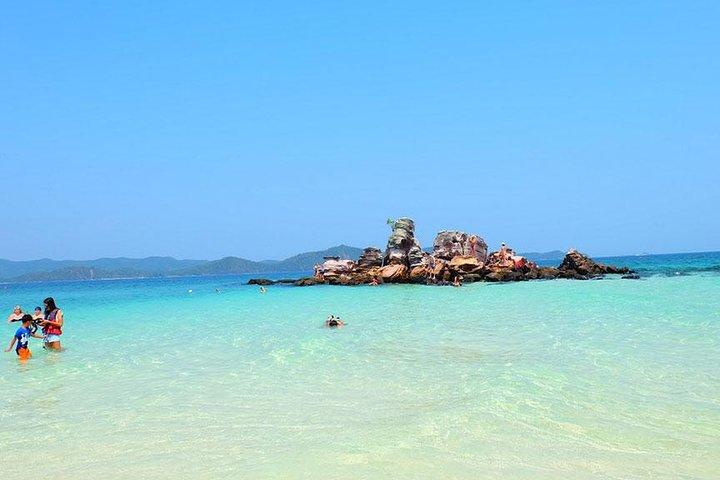 ピピ島はプーケットからのシュノーケリングとカラフルな魚をお楽しみください