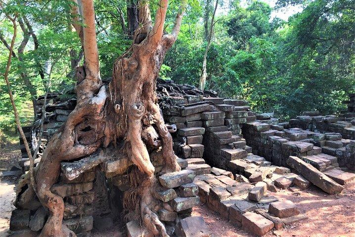 Angkor Wat Sunrise Half Day by Join-in Tour