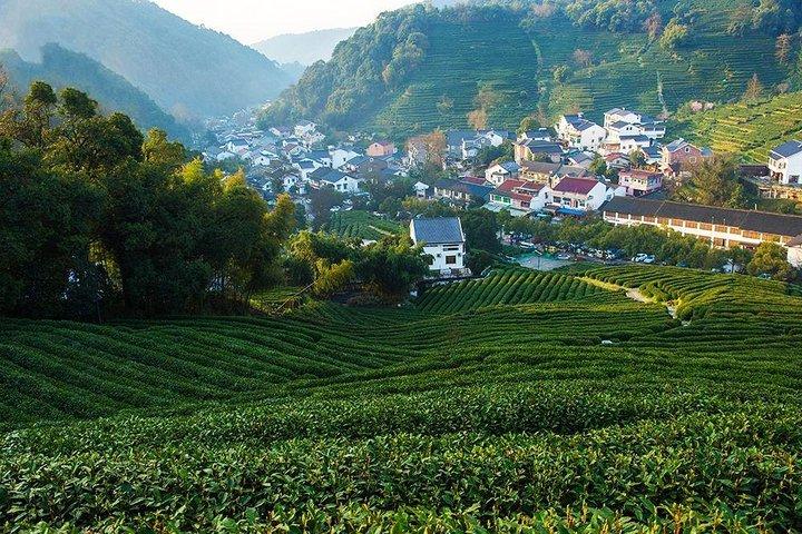 Tour flessibili privati di 2 giorni a Suzhou e Hangzhou da Shanghai con Bullet Train