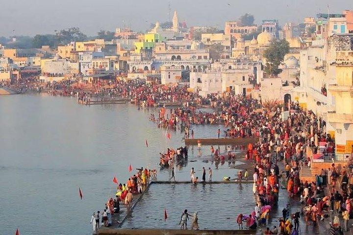 Tour privato di 5 ore al tempio di Brahma e al lago Pushkar da Jaipur