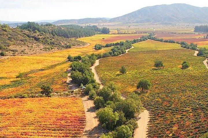 Casablanca Wine Tour med Valparaiso och Viña del Mar