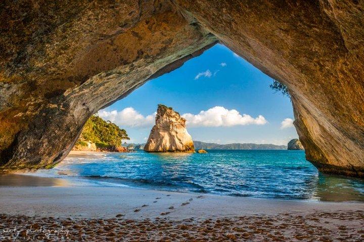 Excursion panoramique d'une journée à Cathedral Cove et Hot Water Beach au départ d'Auckland
