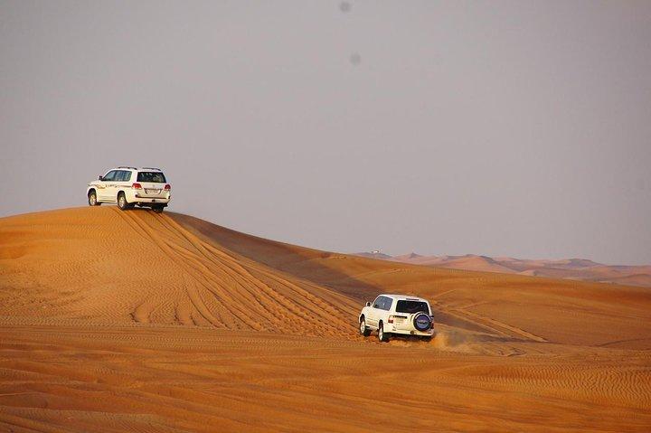 Excursions dans le désert de Dubaï avec dîner barbecue et divertissement en direct