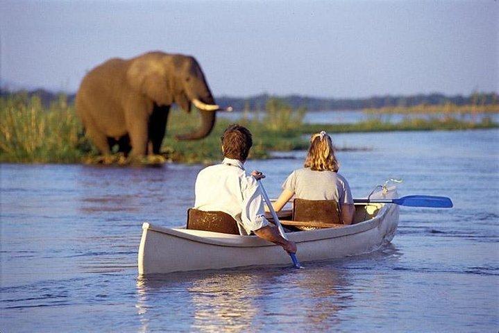 2 dagar Gick med i gruppsafari i Lake Manyara och Tarangire National Park