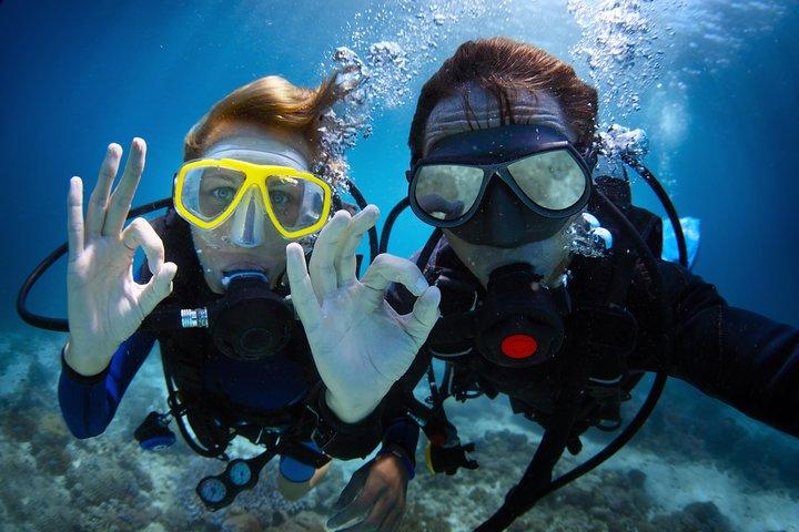 Bodrum : Excursión en barco de buceo con almuerzo incluido