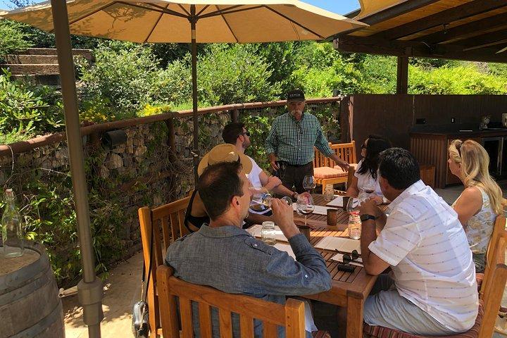 Santa Barbara Wine Country Tour