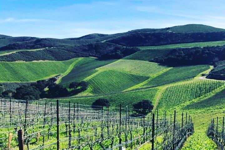 Ausflug in das Weinbaugebiet von Santa Barbara