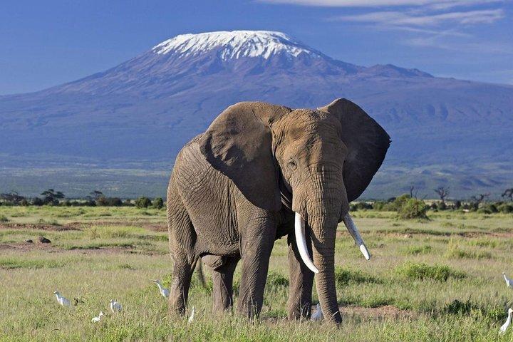 6 Days Budget Safari in Kenya