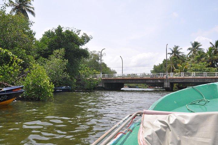 Bentota bytur