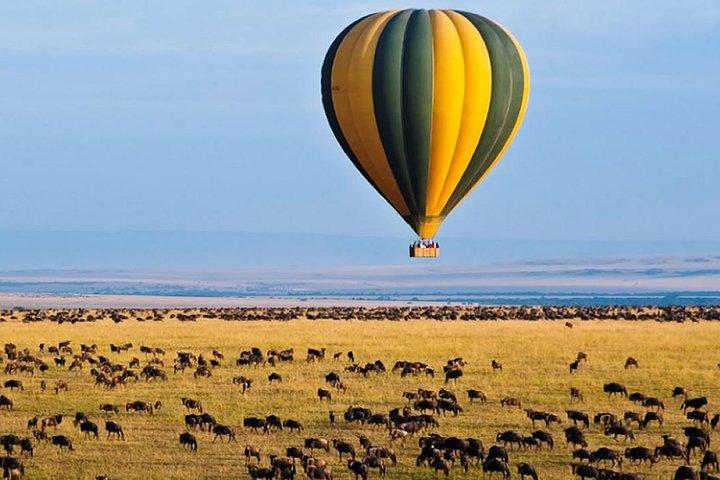 4 - Tag L. Nakuru - Maasai Mara Big 5 Safari