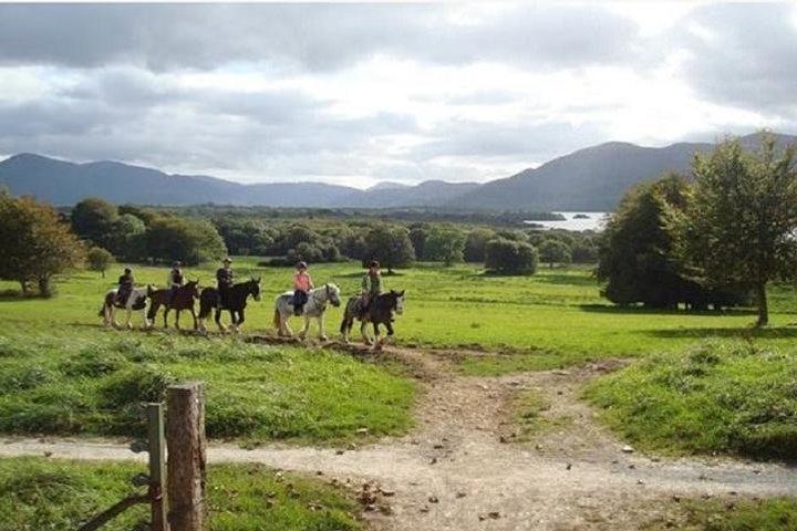 Killarney National Park Ridning. Co Kerry. Guided. 1 time.