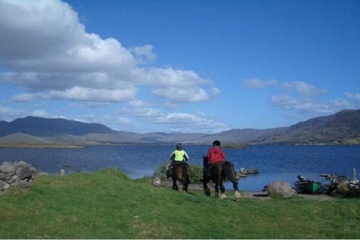 Killarney National Park Ridning. Co Kerry. Guided. 1 time.
