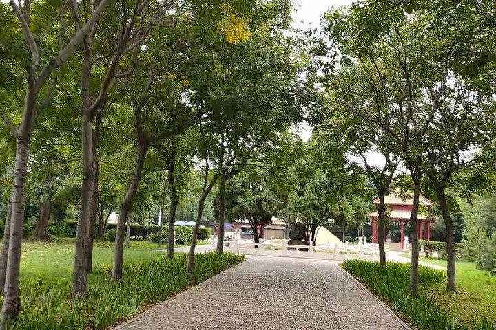 All-inclusive Anyang Yin Xu-ruïnes en Karaktermuseum-dagtour vanuit Zhengzhou