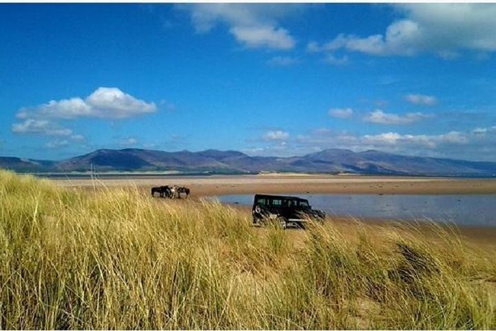 Killarney National Park Ridning. Co Kerry. Guided. 2 timer.