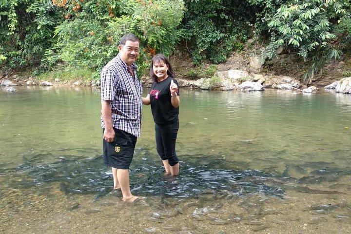 Kinabalu Park dagstur