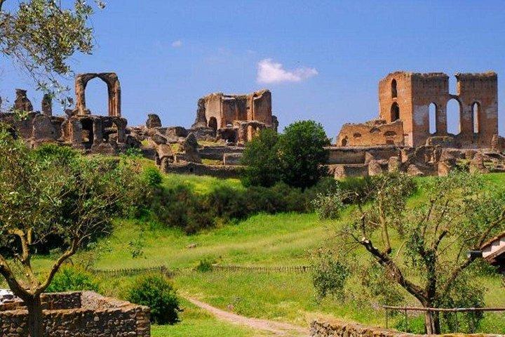 ローマのベールを脱ぐ：専属ドライバー付きツアーで永遠の都を満喫