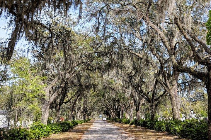 Excursão privada aos distritos históricos/vitorianos de Savannah e ao Cemitério Bonaventure