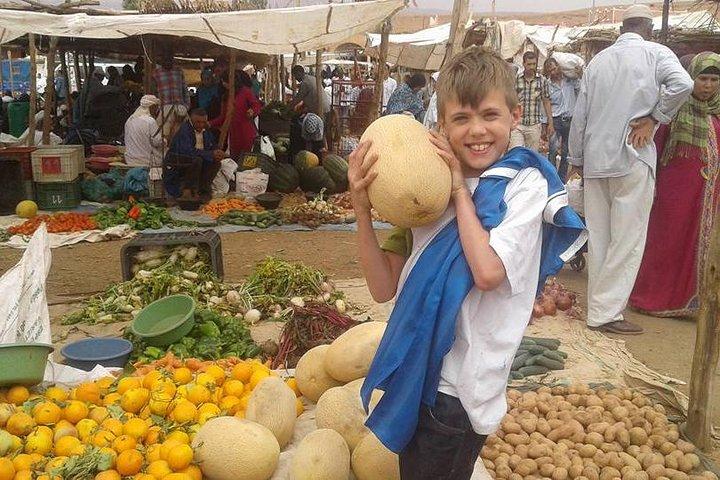 マラケシュ日帰り旅行：ウリカ渓谷アトラス、滝、ランチ
