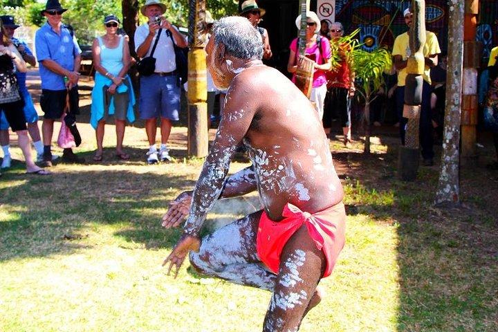 Tiwi By Design Day Tour