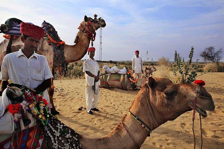 Tvådagarspaket (Camel Safari och Bishnoi Village Safari)
