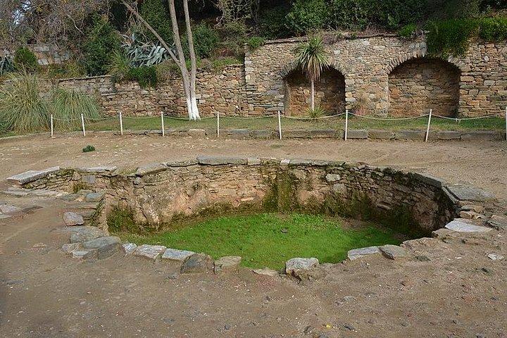 Kusadasi Shore Excursion: Privat tur til Ephesus herunder House of Virgin Mary og Temple of Artemis