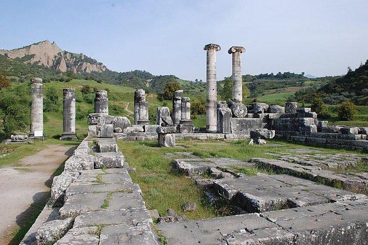 Kusadasi Shore Excursion: Privat tur till Efesos, inklusive basilikan St John och Temple of Artemis