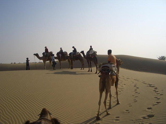 Shahi Over Night Kamelsafari nicht touristische Sanddüne