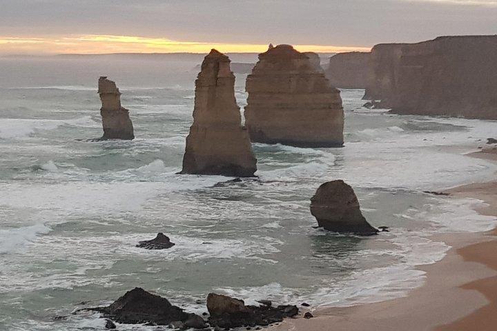 Expérience privée d'une journée sur la Great Ocean Road