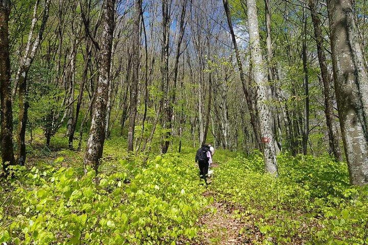 Escursioni a Mostar, Mountain Cvrsnica -Vidikovac