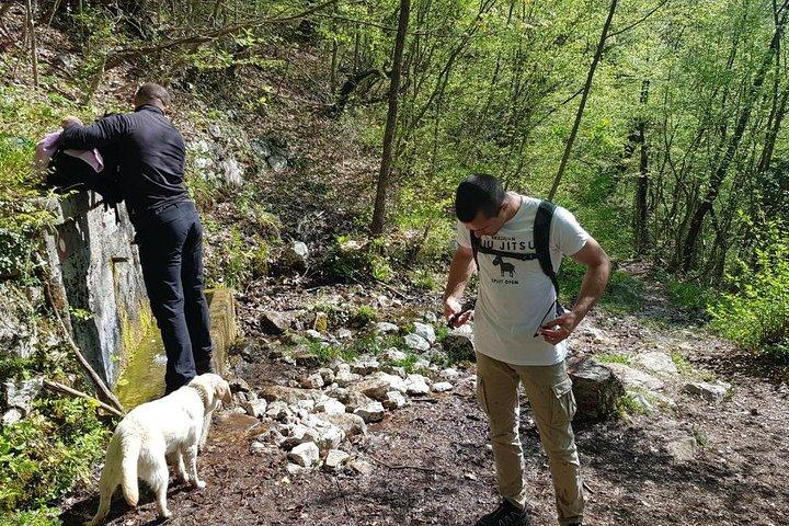 Escursioni a Mostar, Mountain Cvrsnica -Vidikovac
