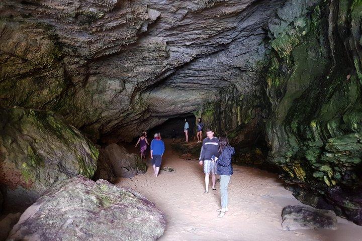 Expérience privée d'une journée sur la Great Ocean Road