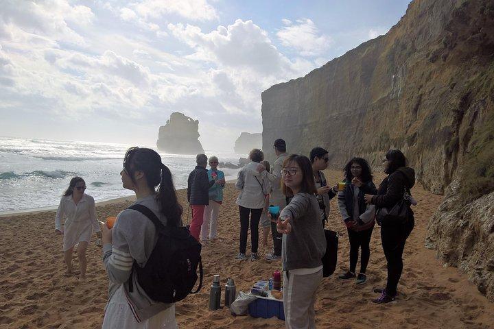 Expérience privée d'une journée sur la Great Ocean Road