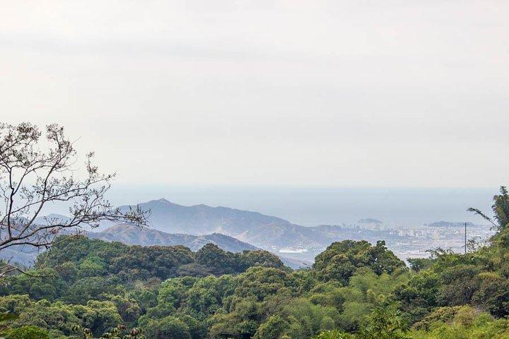 Minca dagtocht en koffieboerderijbezoek vanuit Santa Marta