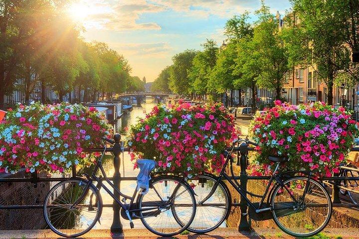 Excursion d'une journée à Amsterdam au départ de Bruxelles