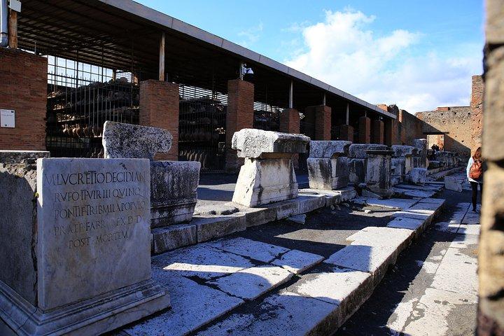 ファストアクセス専用プライベート古代ポンペイHerculaneum＆Oplontisガイド付きツアー
