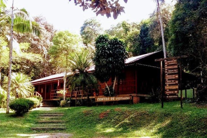 Rain Forest Trail Cantareira Natural Park fra Sao Paulo