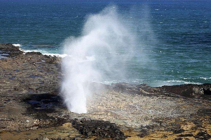 オアフ島シュノーケリングツアー：ドール、パリルックアウト＆その他