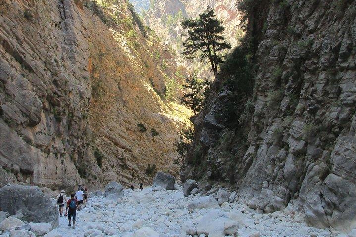 Samaria Gorge Trek: ガイド付きチャニア1日小旅行