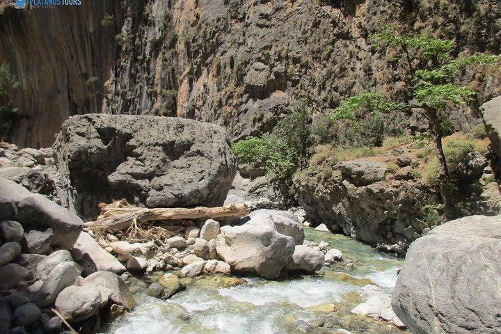 Samaria Gorge Trek: ガイド付きチャニア1日小旅行