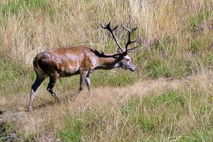 Discovering Nature in Serra da Lousã