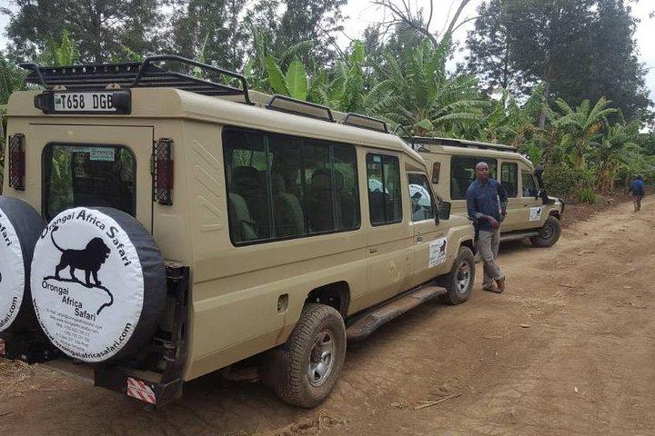 7-dages safari (inklusive Serengeti) & Zanzibar-udvidelse