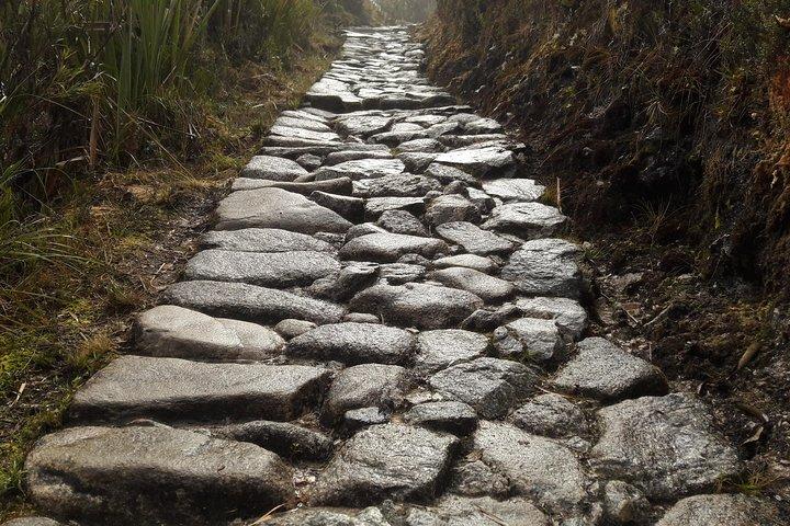 Inca Trail 2 - Excursion d'une journée au Machu Picchu : Short Trek