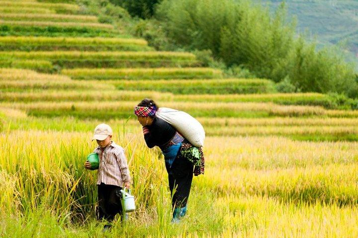 Visita de 2 dias Y Linh Ho Ta Van Cat Cat Sin Chai saindo de Hanói em ônibus de limusine
