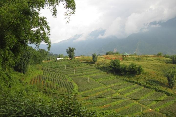 Visita de 2 dias Y Linh Ho Ta Van Cat Cat Sin Chai saindo de Hanói em ônibus de limusine