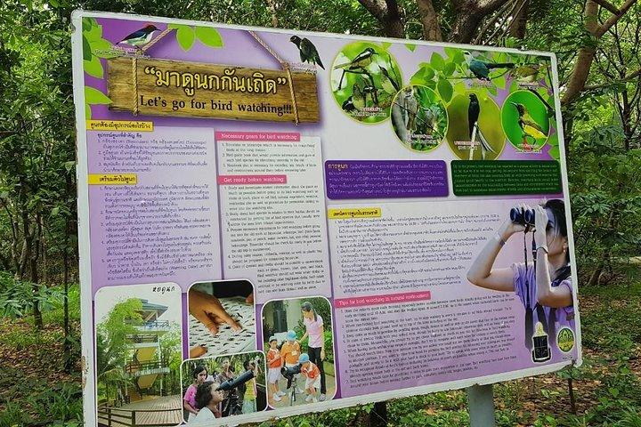 Lost in Bangkok: Green Lung Jungle Radtour mit Mittagessen