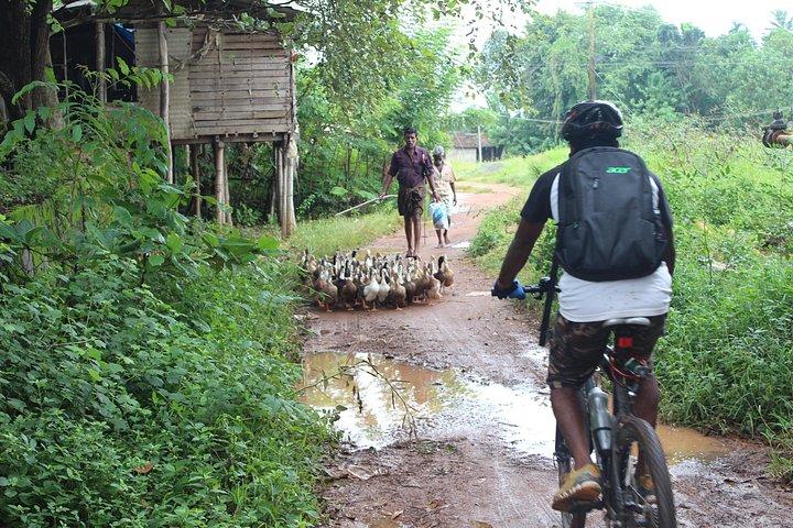 Kuttanad Rice Bowl By Cycle
