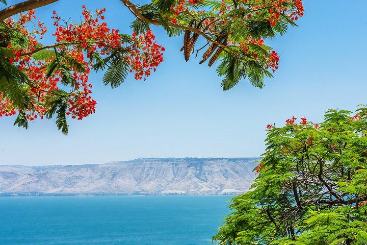 エルサレムからのナザレとガリラヤ湖の日帰り旅行