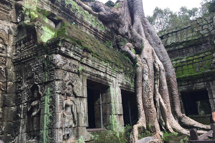 Siem Reap Angkor Wat Sunrise Kleine Tour von Join In